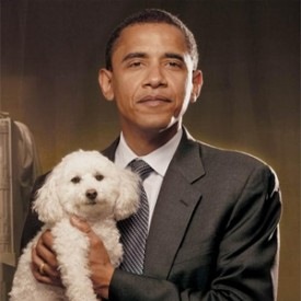 De Hond Van Obama - Een Labradoodle of Portugese Waterhond