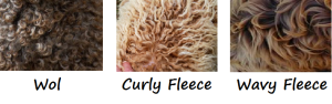 Labradoodle Vacht – Wol Of Fleece